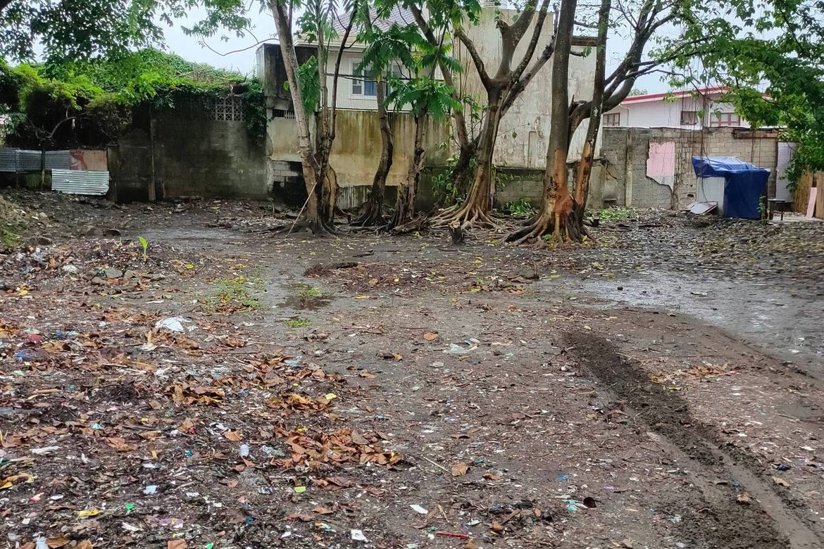 Land for Sale in Barangay 6-A, Tacloban, Leyte – photo 5