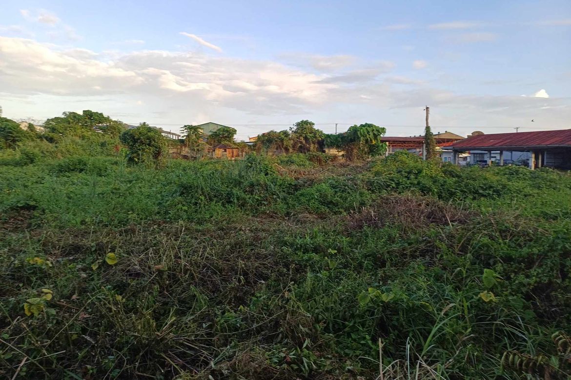 Land for Sale in Barangay 77, Tacloban, Leyte – photo 6
