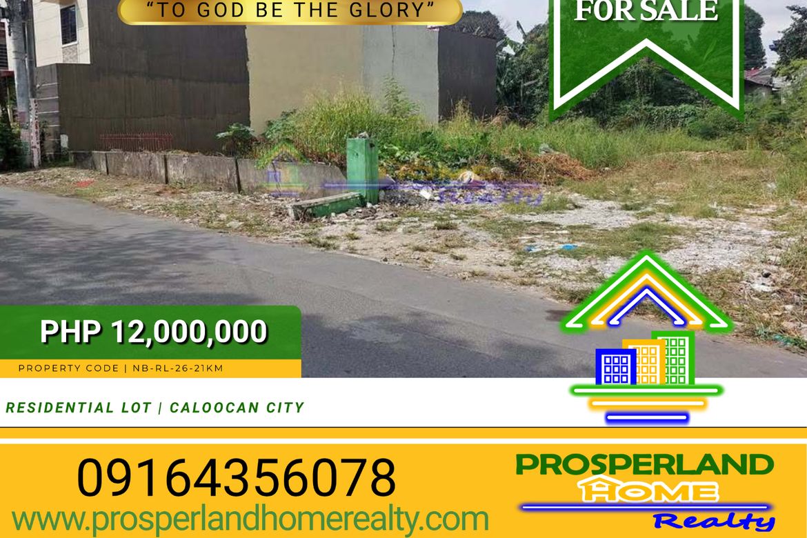 Land for Sale in Barangay 93, Caloocan, Metro Manila near LRT-1 Monumento