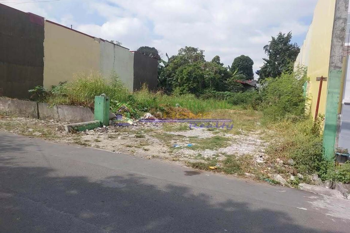 Land for Sale in Barangay 93, Caloocan, Metro Manila near LRT-1 Monumento – photo 3