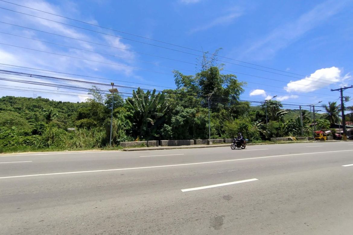 Land for Sale in Barangay 93, Tacloban, Leyte – photo 3