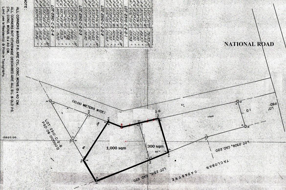 Land for Sale in Barangay 94, Tacloban, Leyte – photo 3