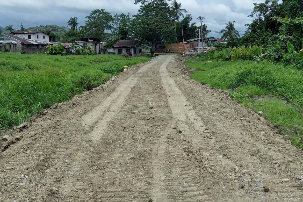 Land for Sale in Barangay 94, Tacloban, Leyte – photo 4