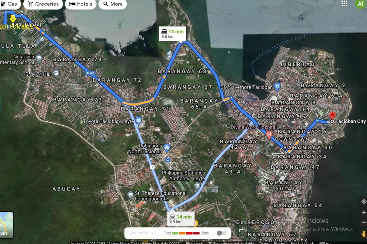 Land for Sale in Barangay 94, Tacloban, Leyte – photo 5