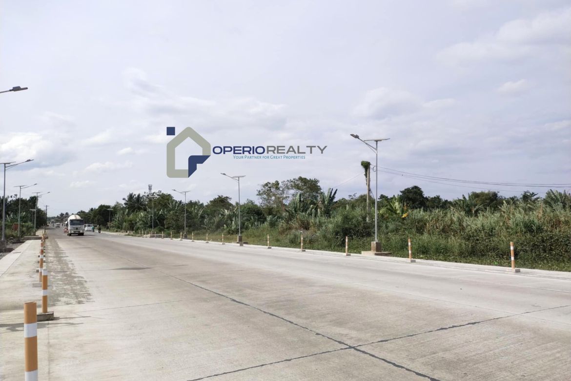 Land for Sale in Barangay 97, Tacloban, Leyte – photo 3