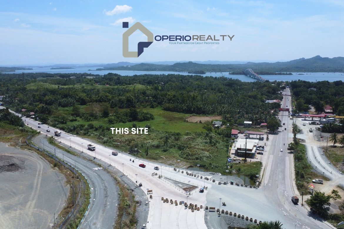 Land for Sale in Barangay 97, Tacloban, Leyte – photo 7