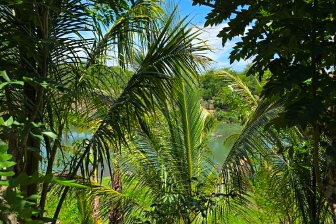 Land for Sale in Barangay I, Pagsanjan, Laguna