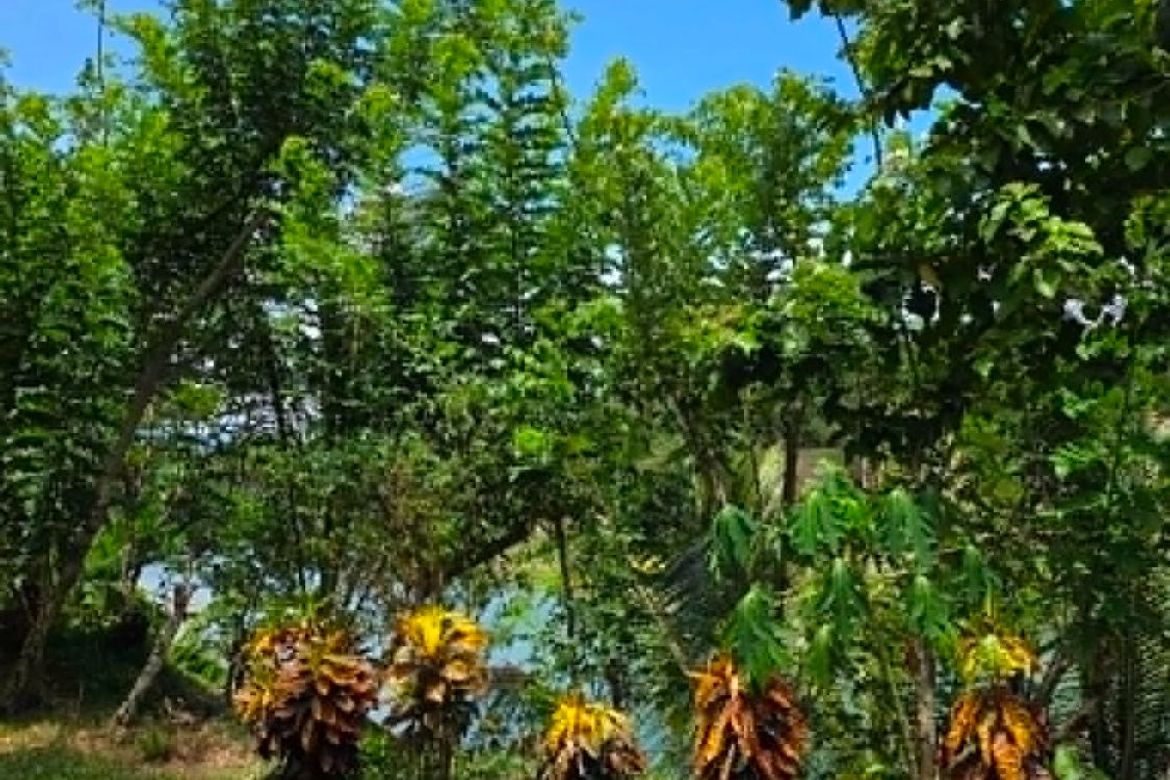 Land for Sale in Barangay I, Pagsanjan, Laguna – photo 3