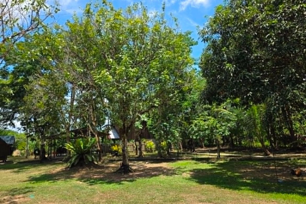 Land for Sale in Barangay I, Pagsanjan, Laguna – photo 4