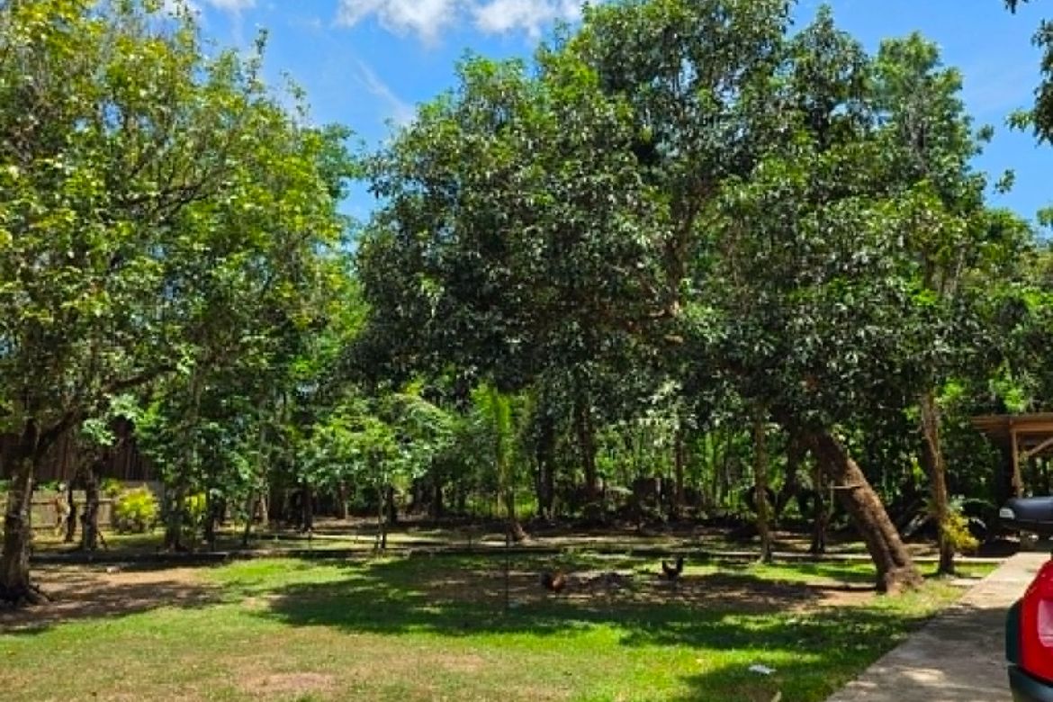 Land for Sale in Barangay I, Pagsanjan, Laguna – photo 6