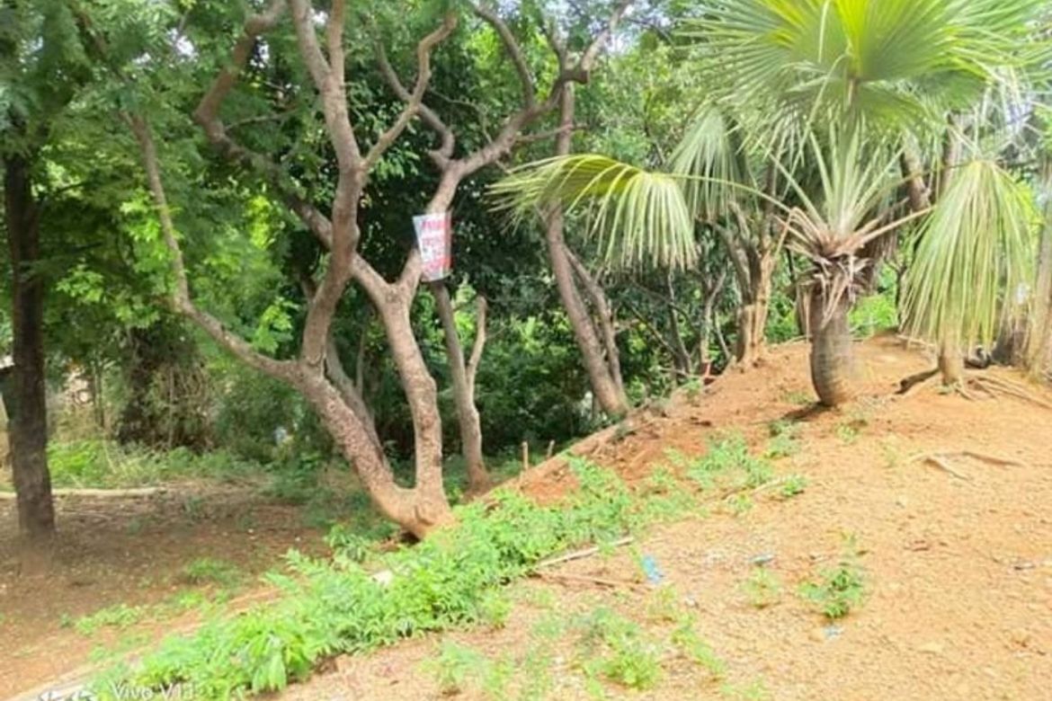 Land for Sale in Barangay I, San Fernando, La Union – photo 3