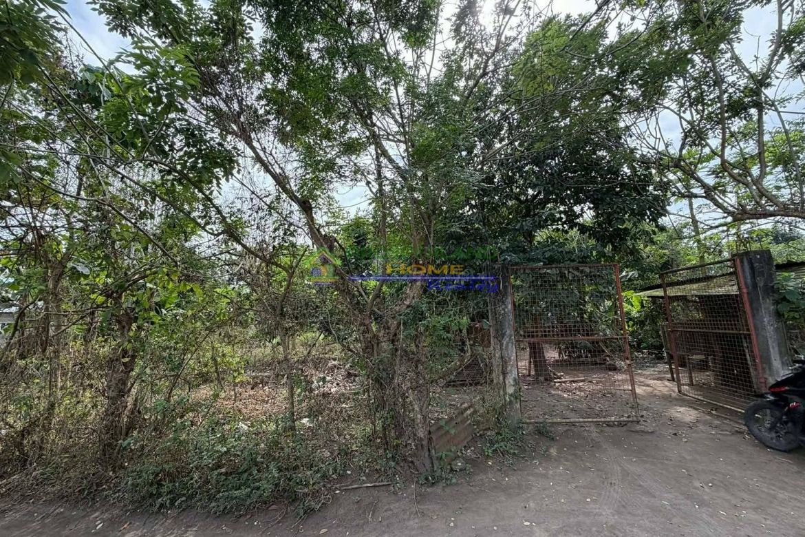Land for Sale in Barangay I, Tiaong, Quezon – photo 5