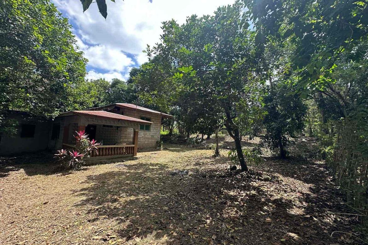 Land for Sale in Barangay I, Tiaong, Quezon