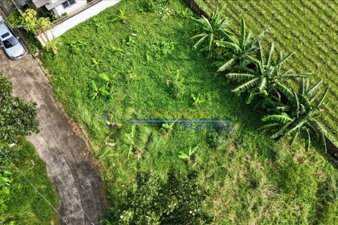 Land for Sale in Barangay II-B, San Pablo, Laguna – photo 2