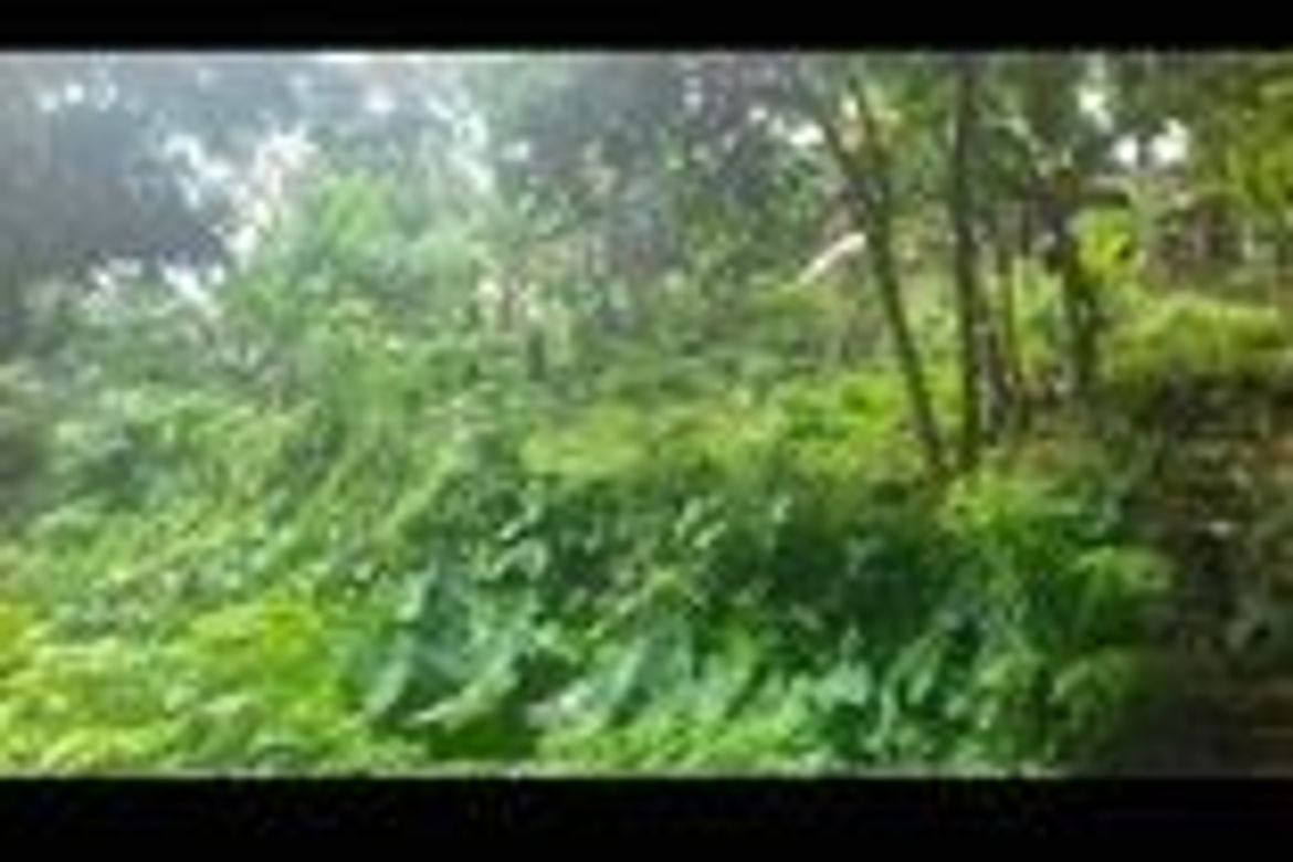 Land for Sale in Barangay II-B, San Pablo, Laguna