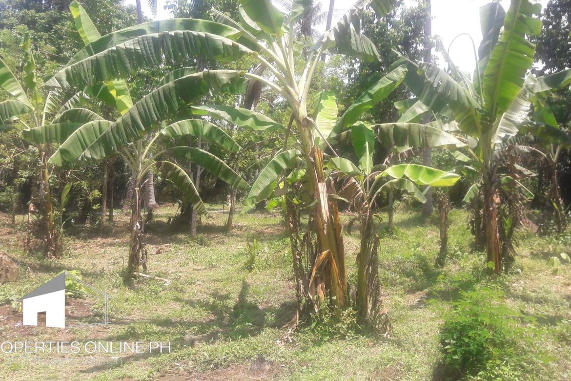 Land for Sale in Barangay II-C, San Pablo, Laguna – photo 5
