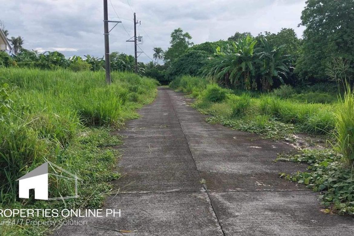 Land for Sale in Barangay II-C, San Pablo, Laguna – photo 2
