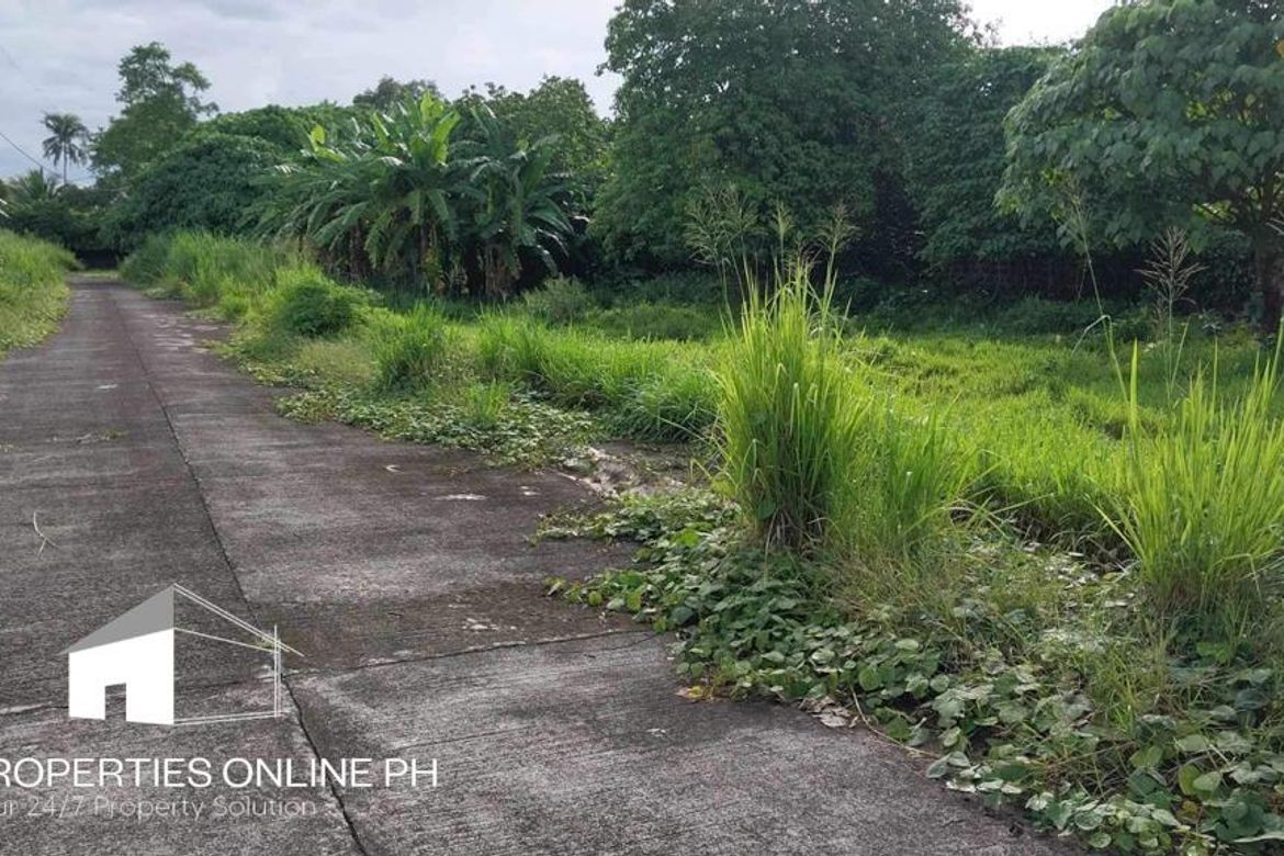 Land for Sale in Barangay II-C, San Pablo, Laguna – photo 3