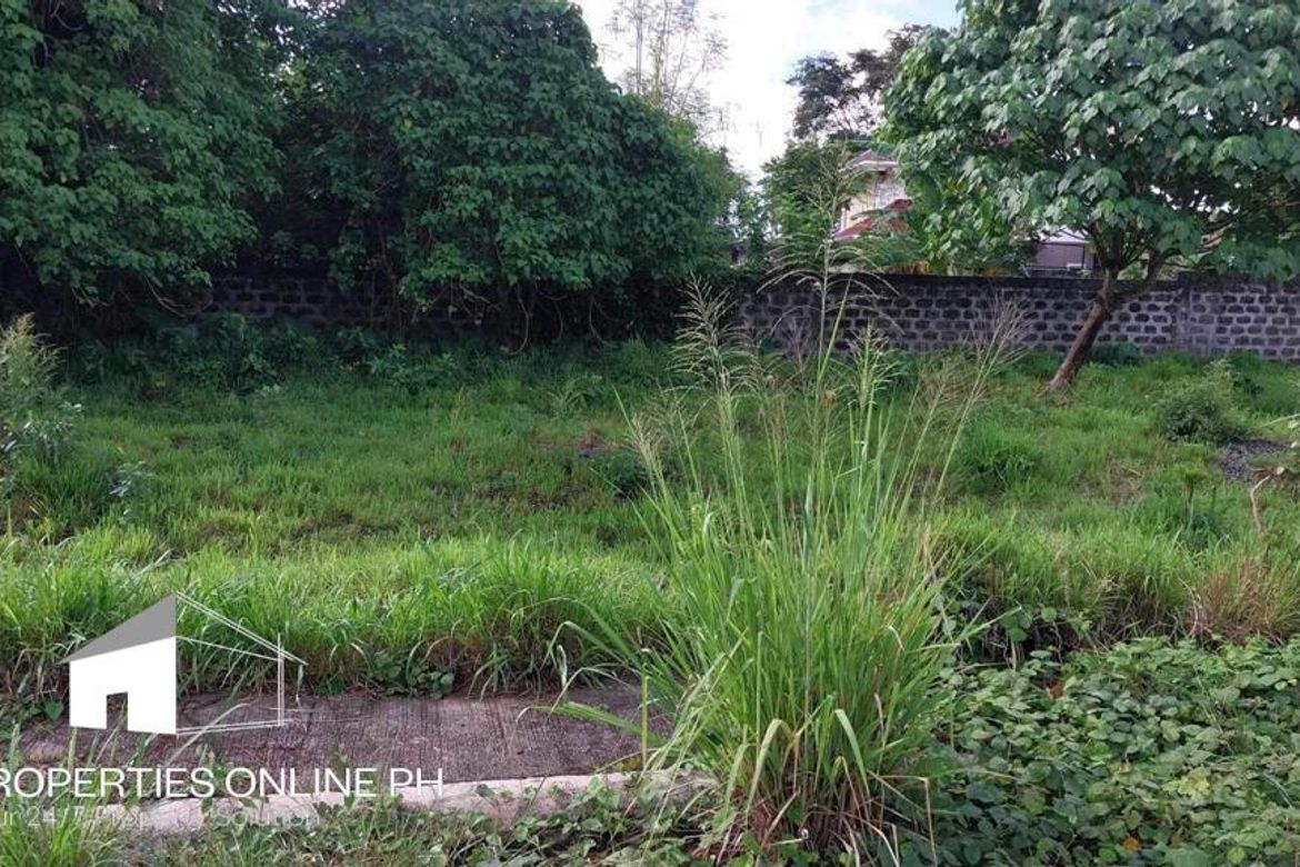 Land for Sale in Barangay II-C, San Pablo, Laguna – photo 4
