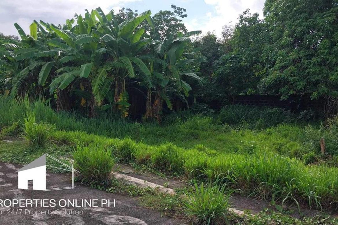 Land for Sale in Barangay II-C, San Pablo, Laguna – photo 6