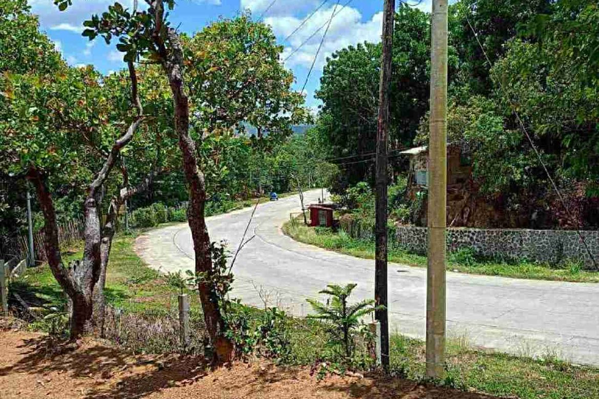 Land for Sale in Barangay II, Santa Maria, Laguna – photo 8