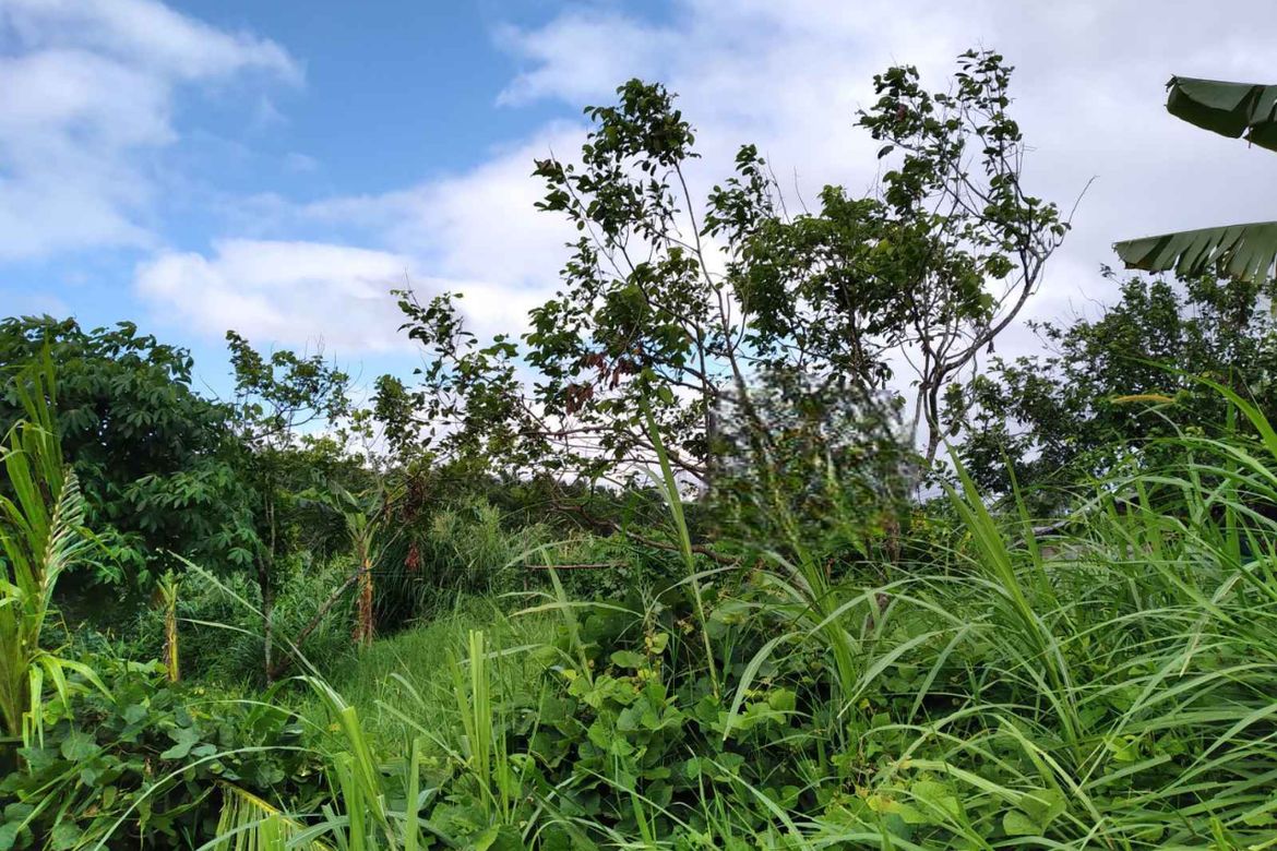 Land for Sale in Barangay III, Alaminos, Laguna