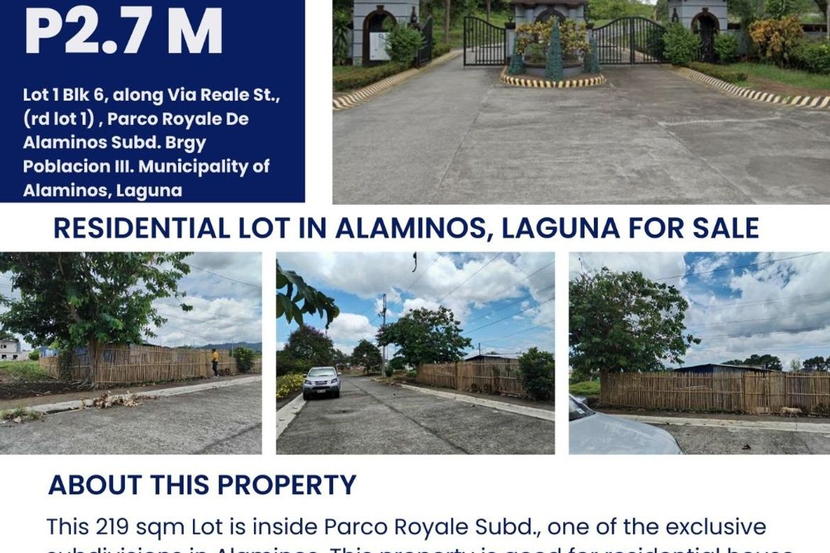 Land for Sale in Barangay III, Alaminos, Laguna – photo 2