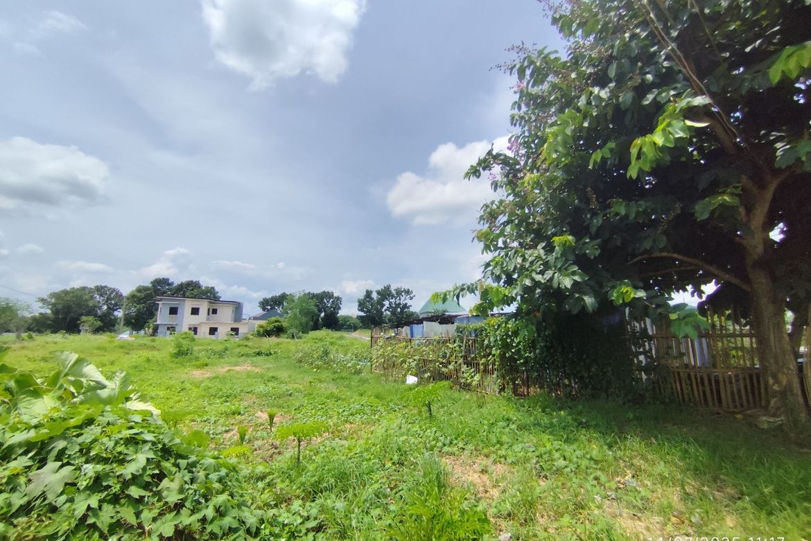Land for Sale in Barangay III, Alaminos, Laguna – photo 3