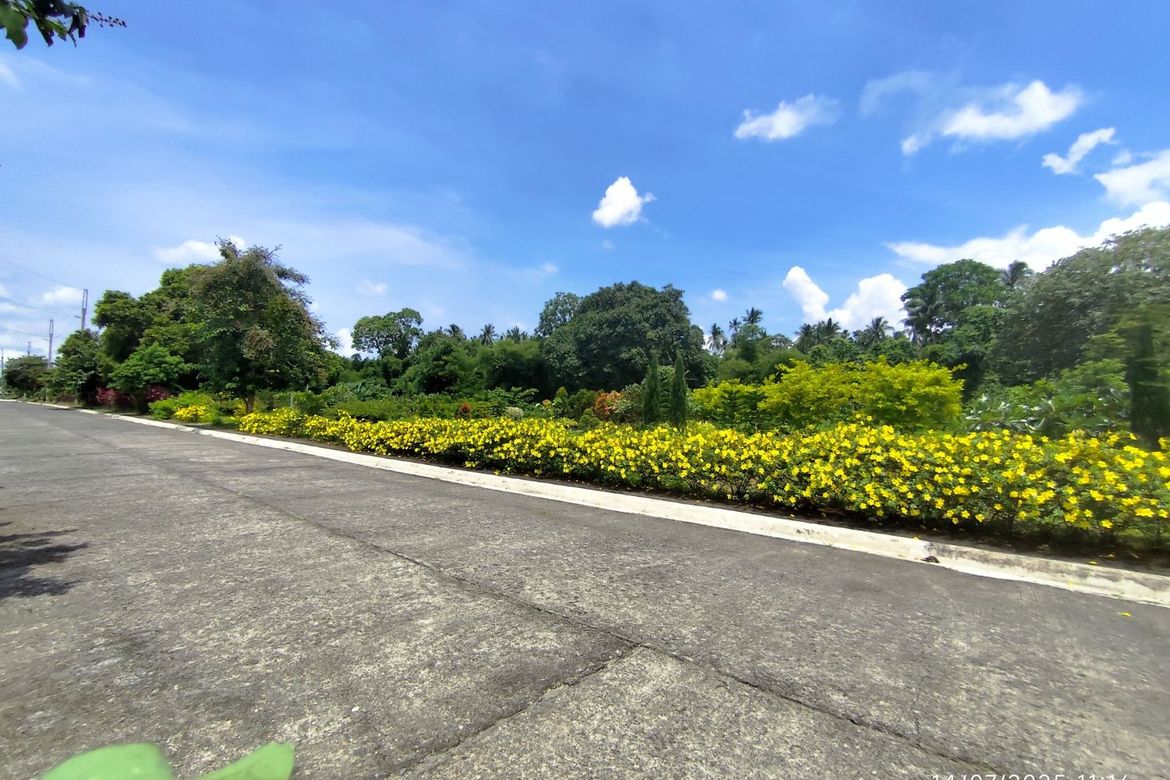 Land for Sale in Barangay III, Alaminos, Laguna – photo 5