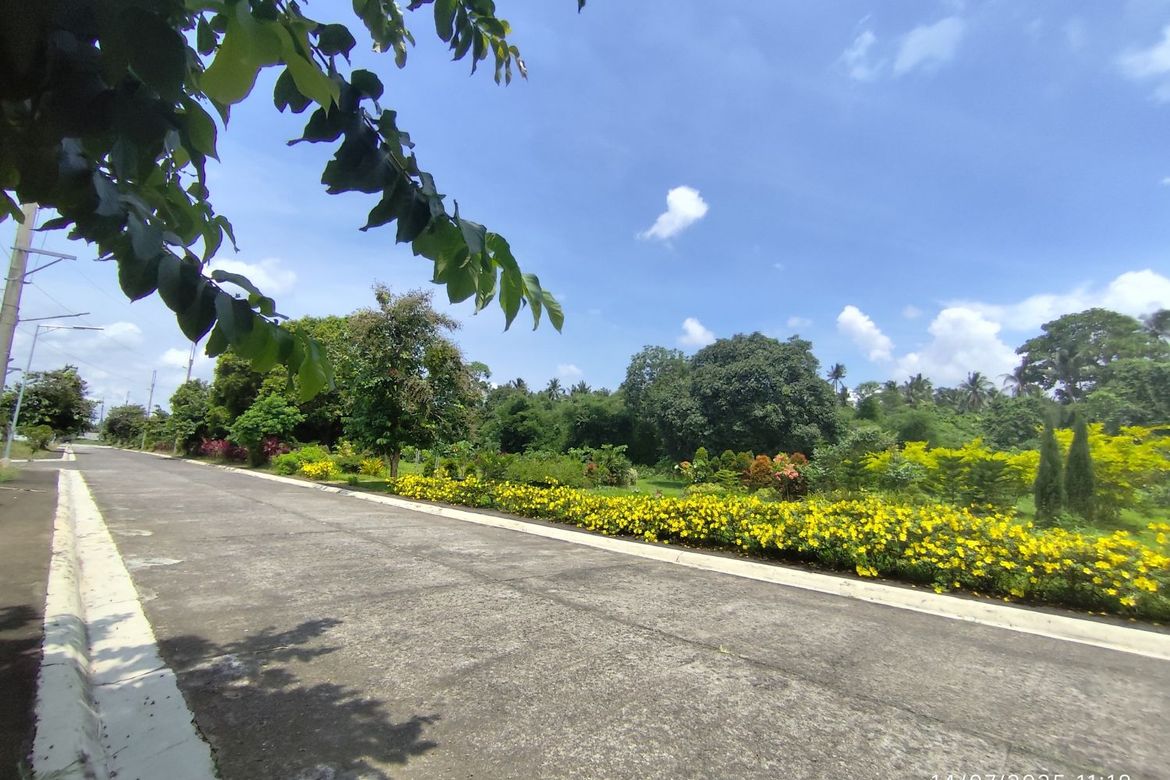Land for Sale in Barangay III, Alaminos, Laguna – photo 7