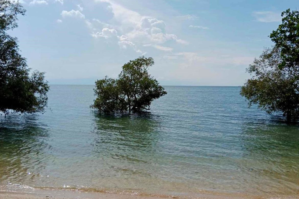 Land for Sale in Barangay III, Tuburan, Cebu