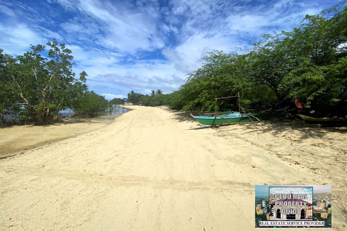 Land for Sale in Barangay III, Tuburan, Cebu – photo 2