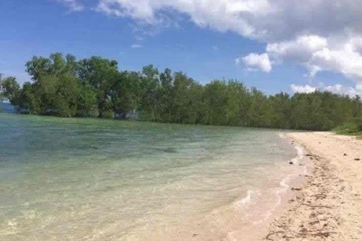 Land for Sale in Barangay III, Tuburan, Cebu – photo 3