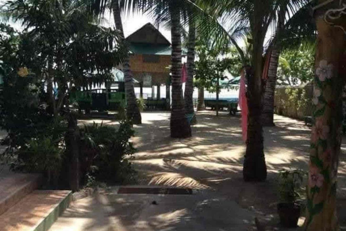 Land for Sale in Barangay III, Tuburan, Cebu – photo 4