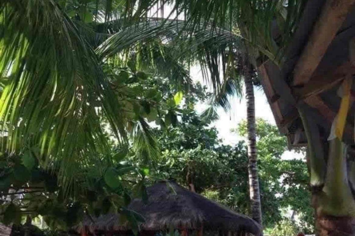 Land for Sale in Barangay III, Tuburan, Cebu – photo 6