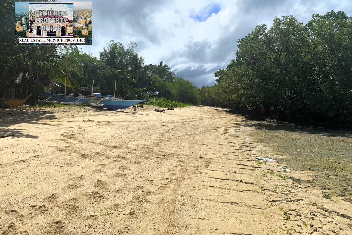 Land for Sale in Barangay III, Tuburan, Cebu – photo 4