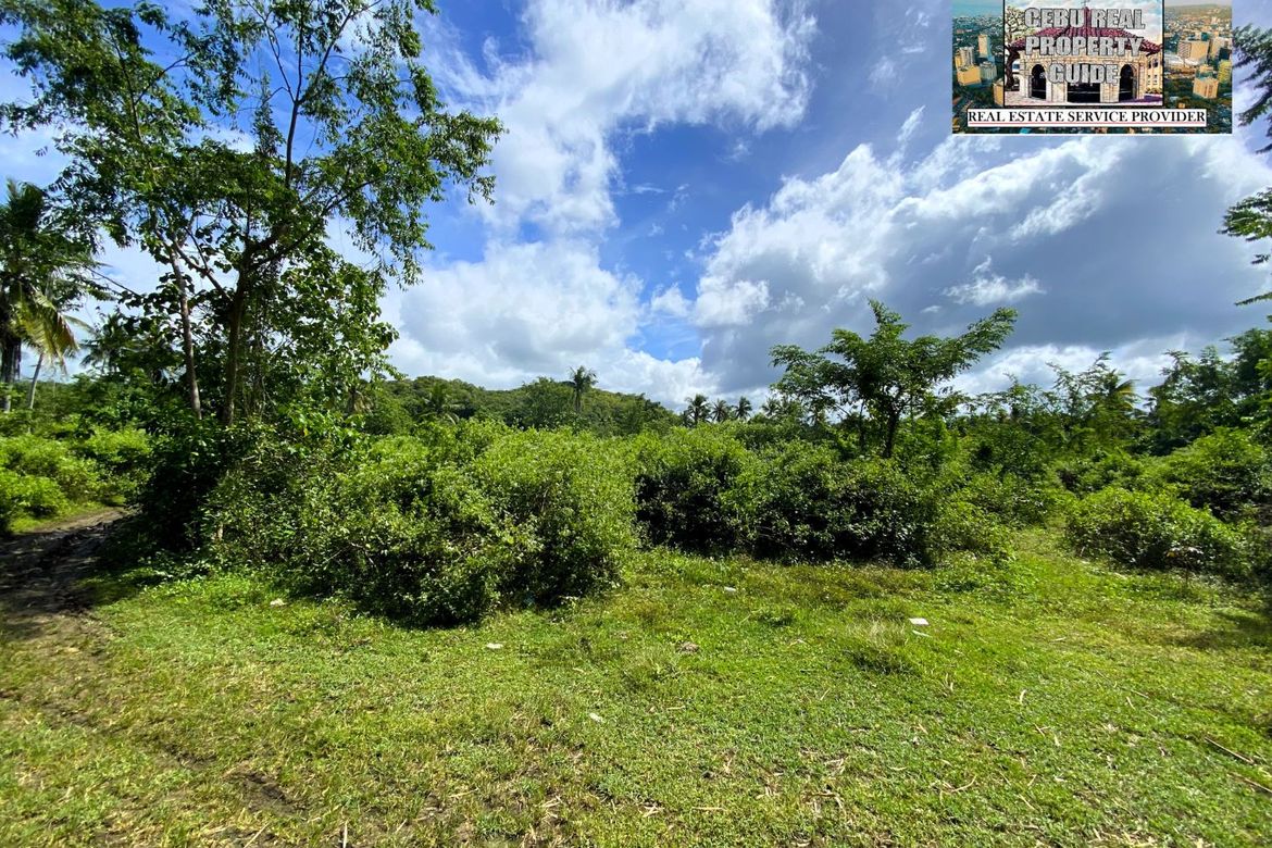Land for Sale in Barangay III, Tuburan, Cebu – photo 5