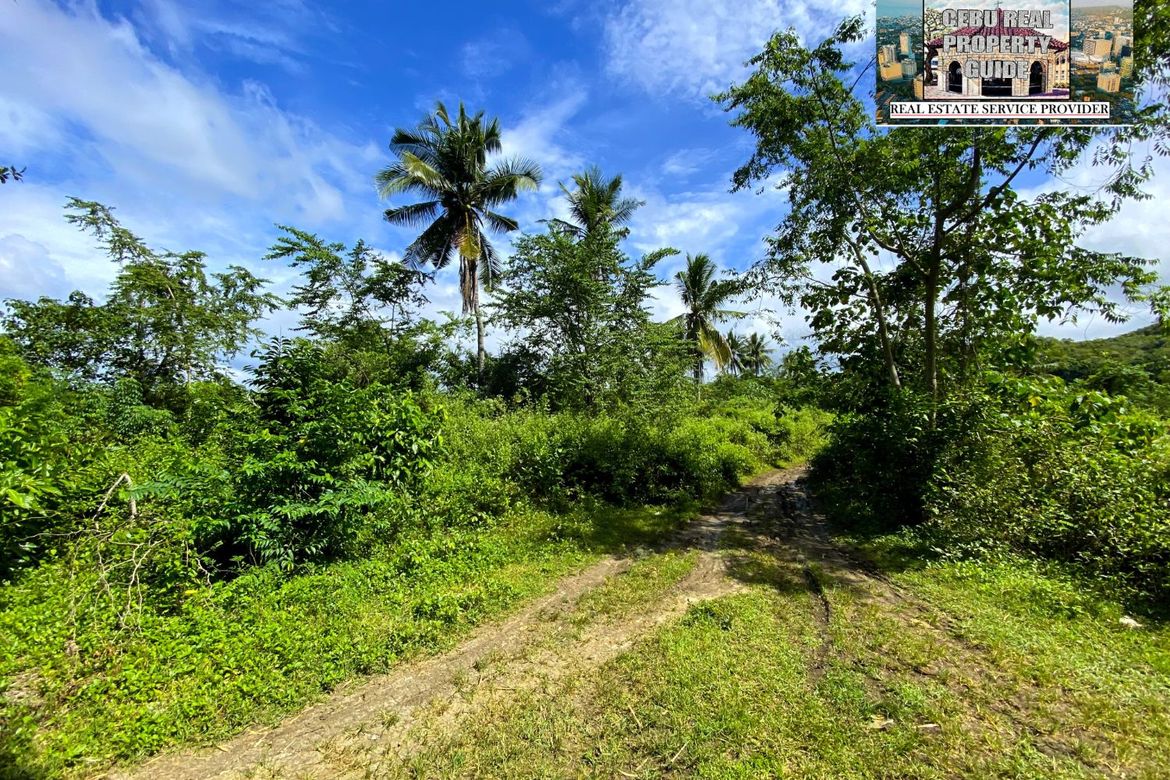 Land for Sale in Barangay III, Tuburan, Cebu – photo 6