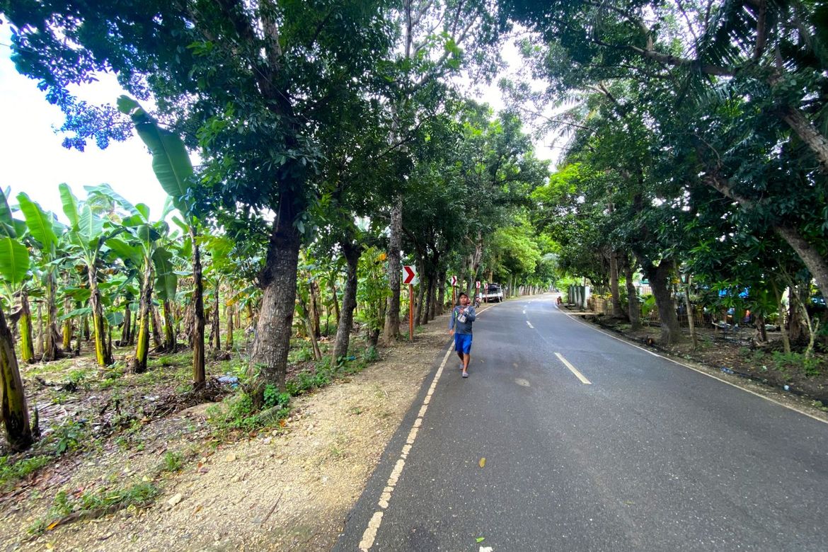 Land for Sale in Barangay III, Tuburan, Cebu – photo 8