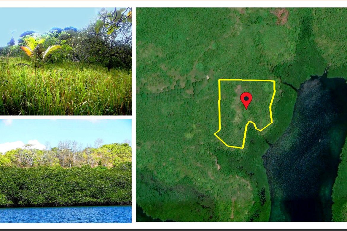 Land for Sale in Barangay Ng Mga Mangingisda, Puerto Princesa, Palawan