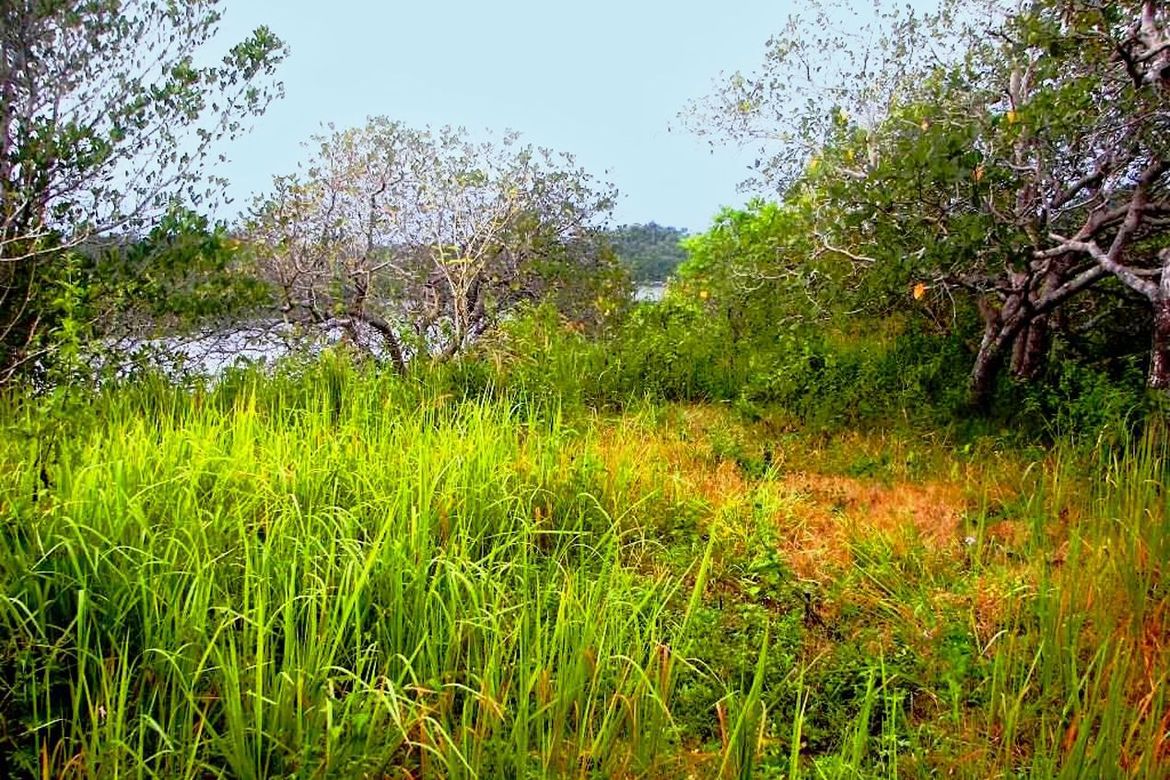 Land for Sale in Barangay Ng Mga Mangingisda, Puerto Princesa, Palawan – photo 6