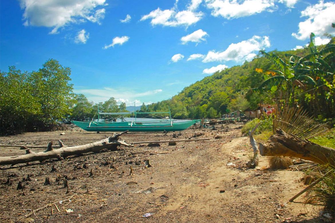 Land for Sale in Barangay Ng Mga Mangingisda, Puerto Princesa, Palawan – photo 3