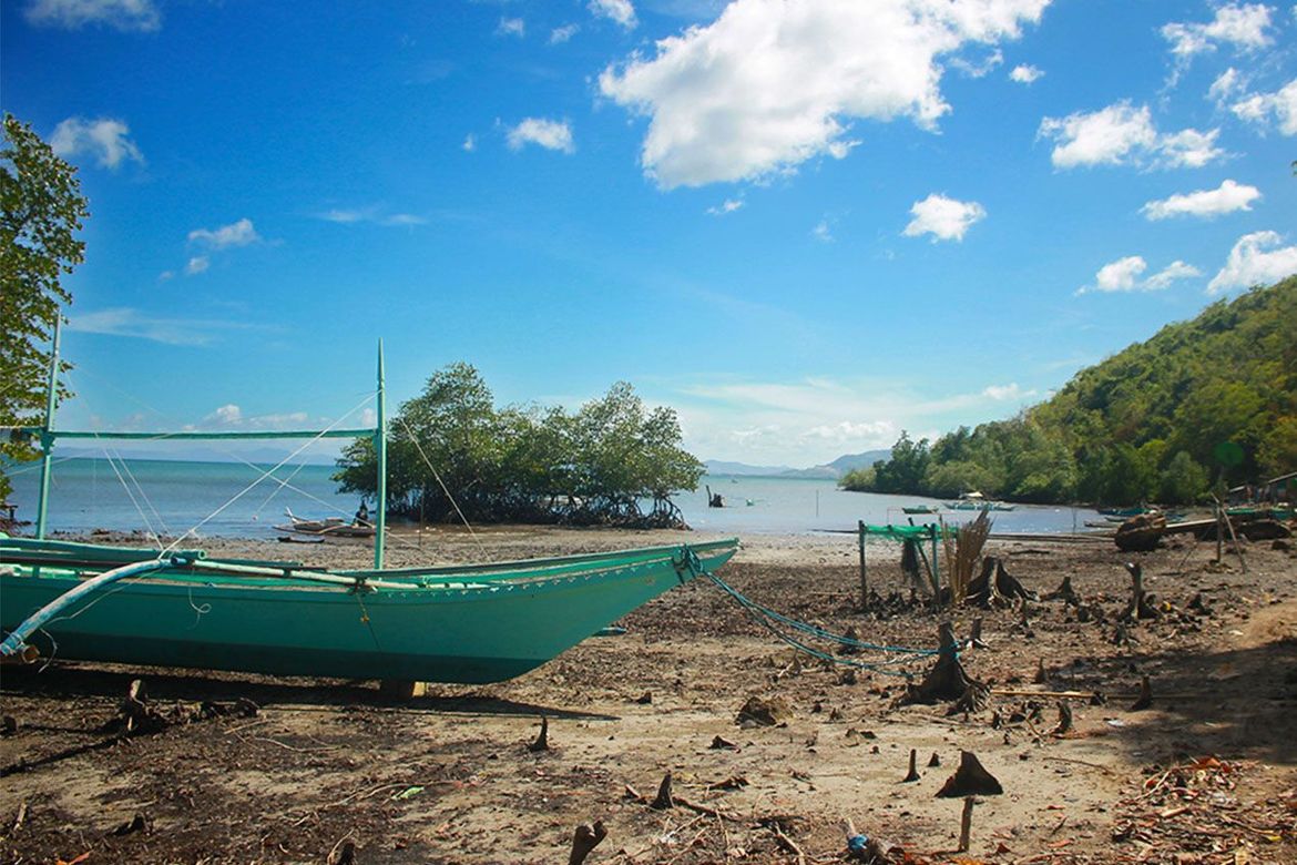 Land for Sale in Barangay Ng Mga Mangingisda, Puerto Princesa, Palawan – photo 2