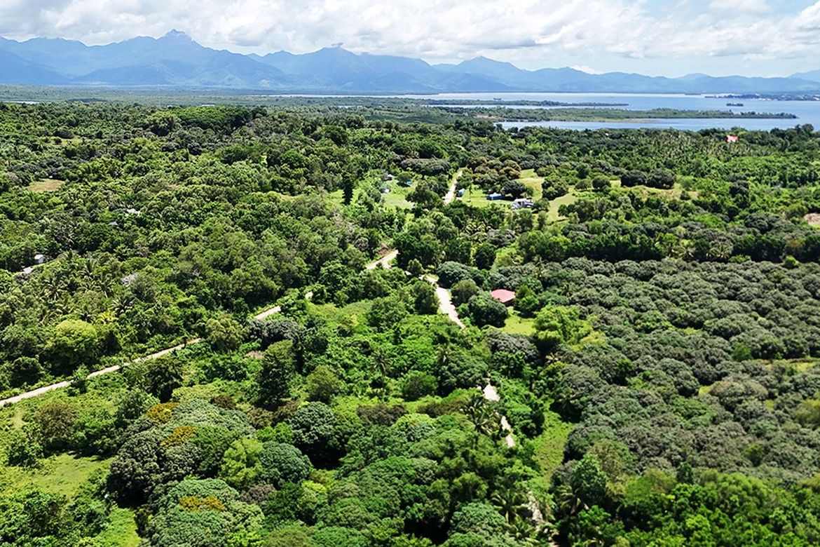 Land for Sale in Barangay Ng Mga Mangingisda, Puerto Princesa, Palawan – photo 2