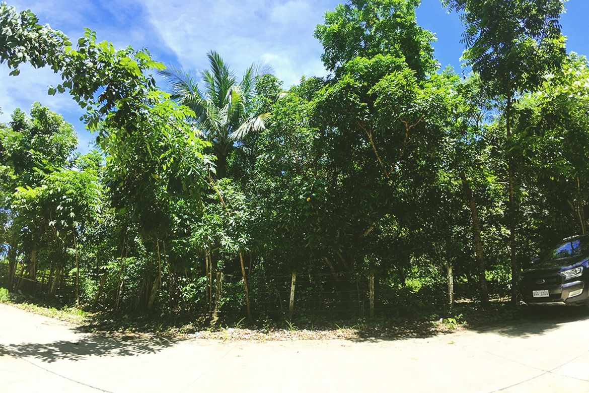 Land for Sale in Barangay Ng Mga Mangingisda, Puerto Princesa, Palawan – photo 8