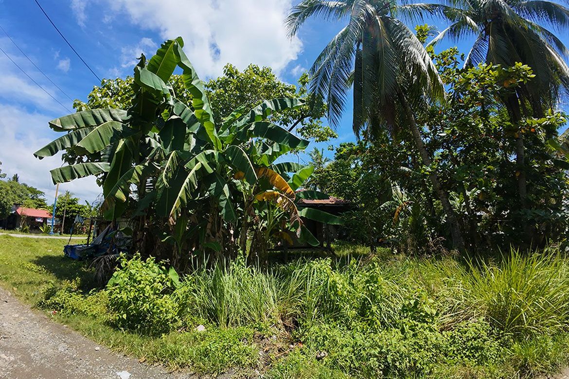 Land for Sale in Barangay Ng Mga Mangingisda, Puerto Princesa, Palawan – photo 4