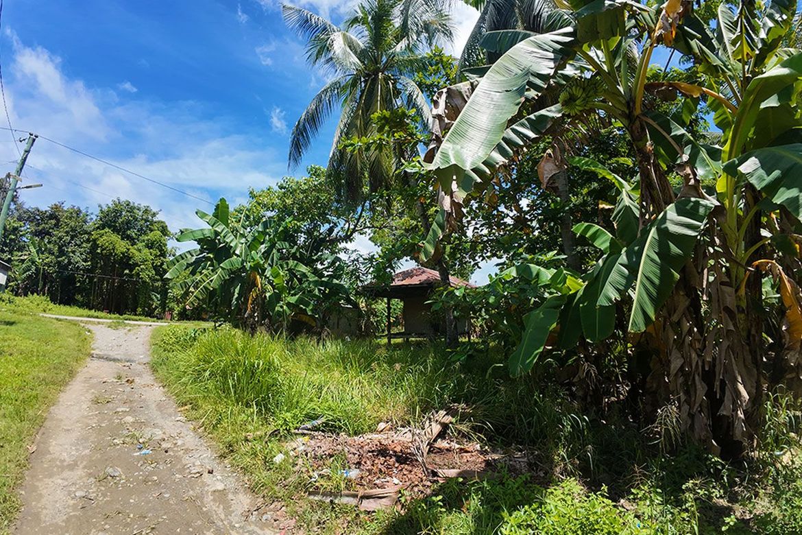 Land for Sale in Barangay Ng Mga Mangingisda, Puerto Princesa, Palawan – photo 5