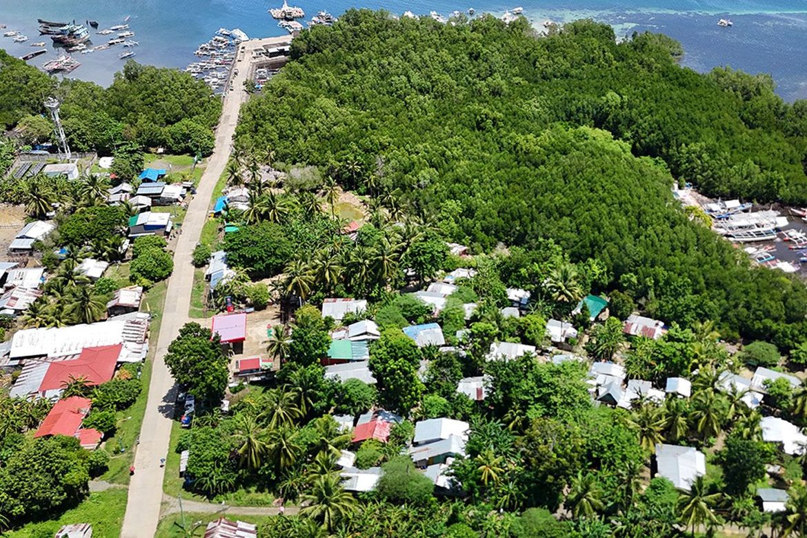 Land for Sale in Barangay Ng Mga Mangingisda, Puerto Princesa, Palawan – photo 7