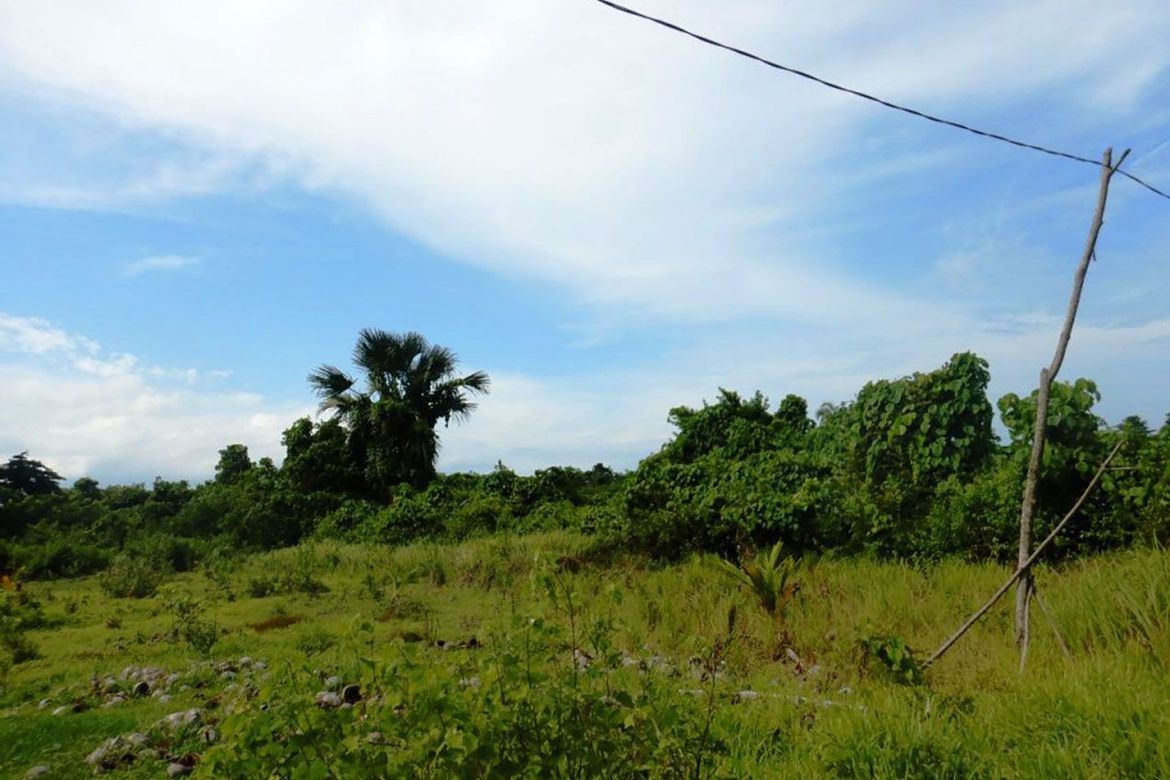 Land for Sale in Barangay Ng Mga Mangingisda, Puerto Princesa, Palawan – photo 3