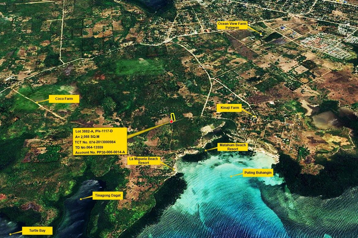 Land for Sale in Barangay Ng Mga Mangingisda, Puerto Princesa, Palawan – photo 6